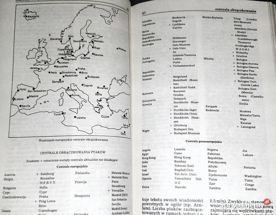 Ptaki Mały słownik zoologiczny Tom 12 Przemysław Chełm