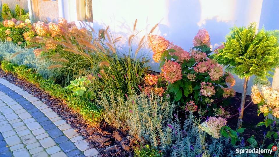 Projekt ogrodu projektowanie i zakładanie Piaseczno