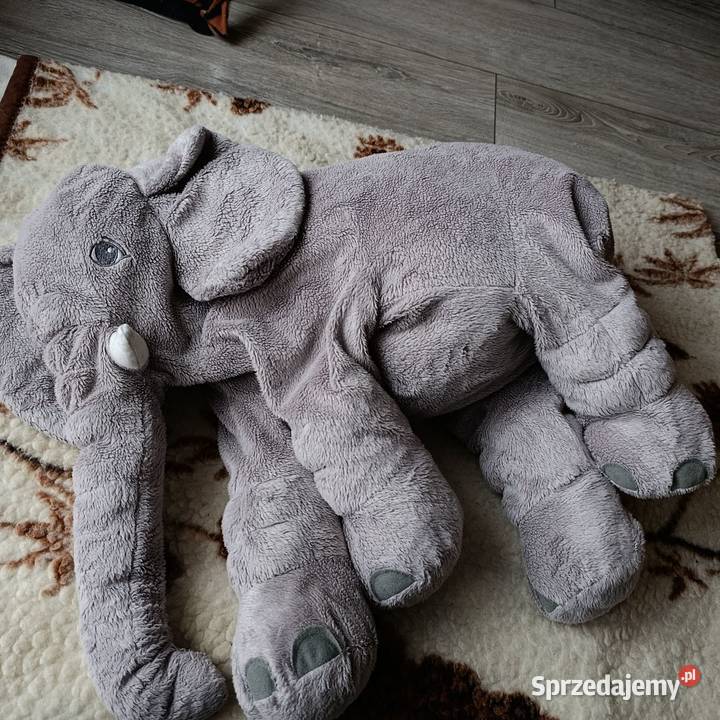 miś maskotka pluszak słoń wielkopolskie