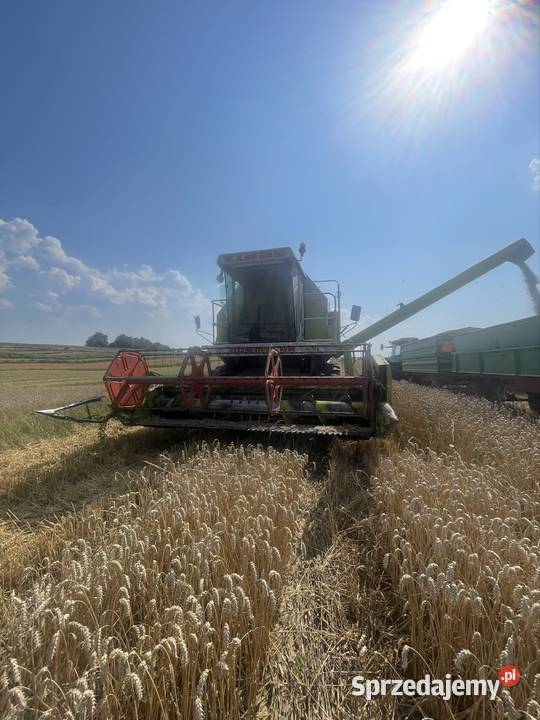 Claas Dominator 88s 390 heder Janów Lubelski