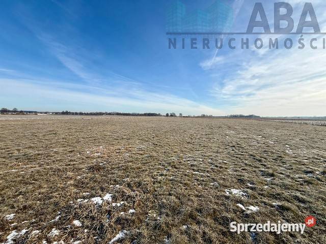 Duża działka w Słodkowie na sprzedaż Sprzedaż Słodków