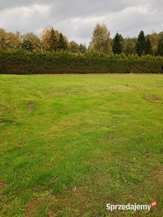 DZIAŁKA BUDOWLANA 1037m2 Wszystkie MEDIA z SUPER Lokalizacją na Wsi Golasowice