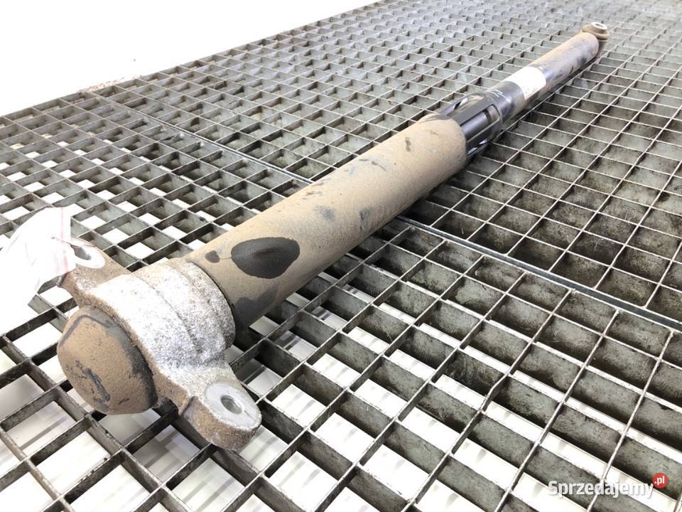 AMORTYZATOR PRAWY TYŁ FORD FOCUS IV Hatchback