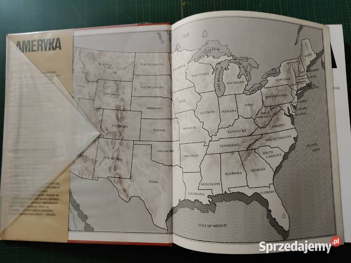 AmerykaStane Stanic WP małopolskie