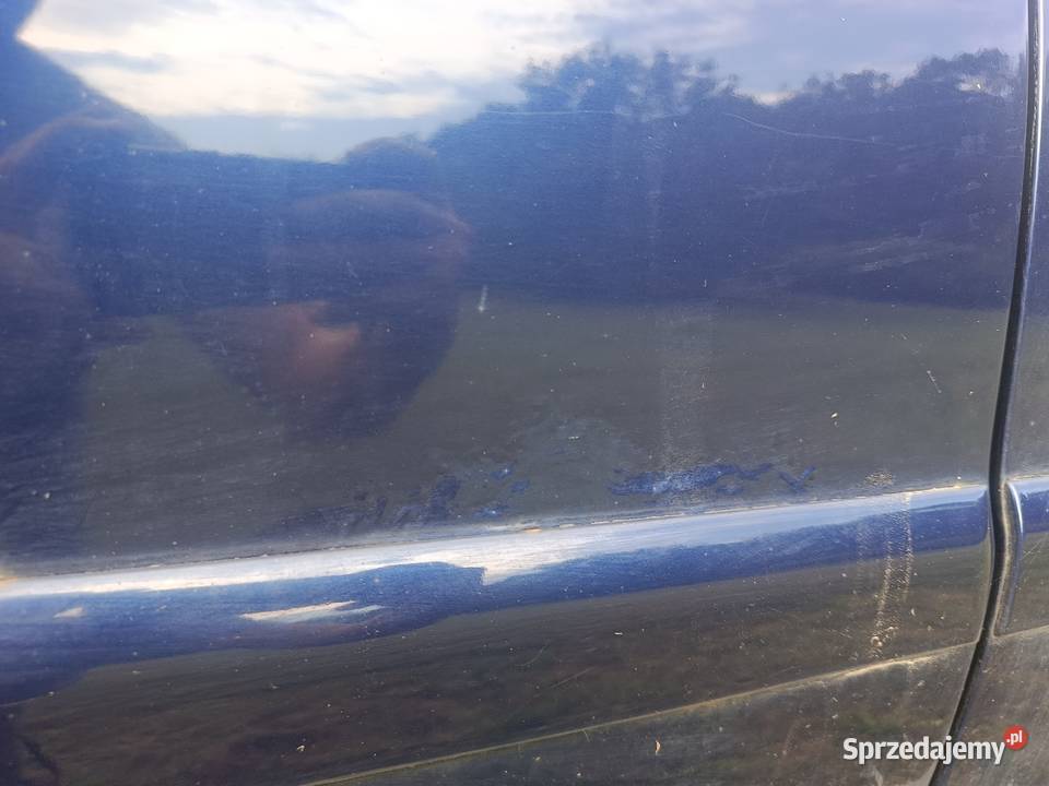 Drzwi Prawy Przód LZ5K Audi A4 B5 FL a37 osobowe śląskie Myszków