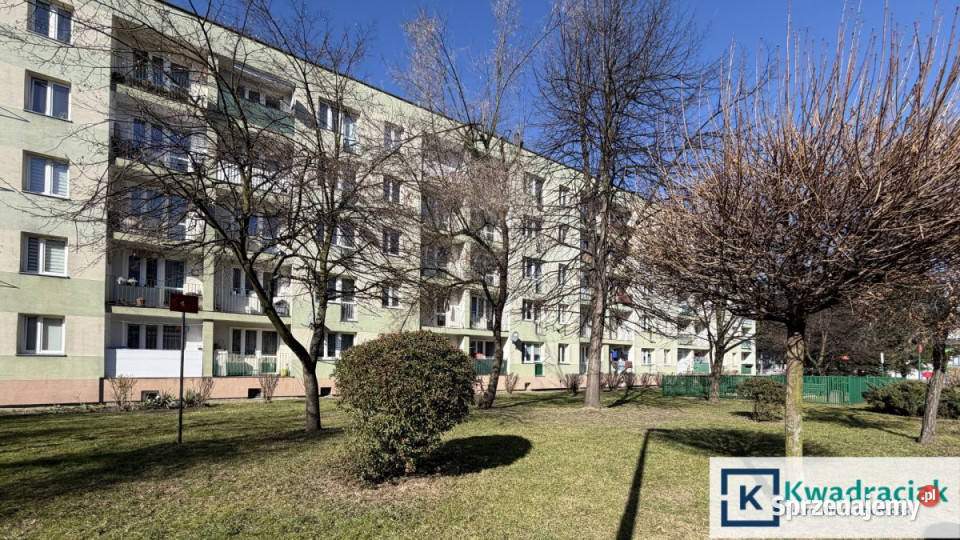 Mieszkanie Jasło 254 metry 1 pokojowe Liczba pokoi 1