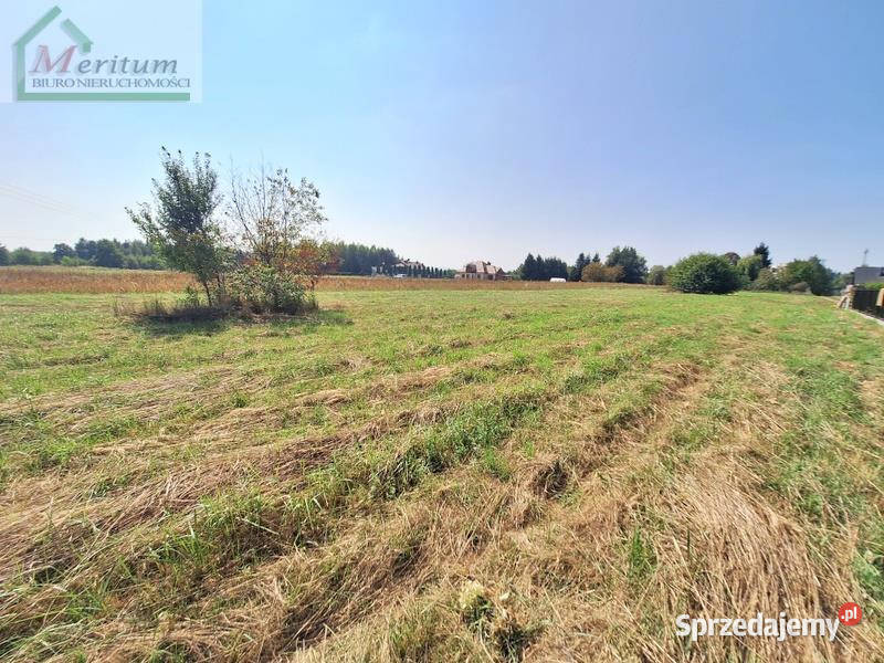 Działka 1598m2 Szczepańcowa 65zł/m2