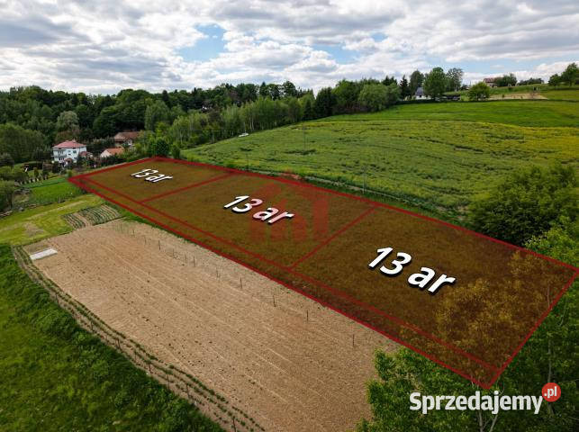 sprzedaży działki Wielopole Skrzyńskie 1300m2