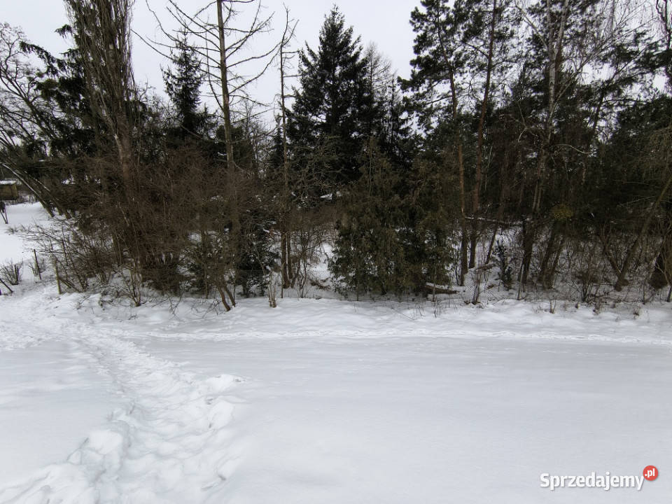 Nieruchomość Wisłą Stare Grochale sprzedam