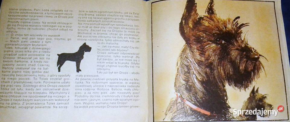 Drops rozbójnik zza Żelaznej Bramy Marek Andrzej Chełm sprzedam