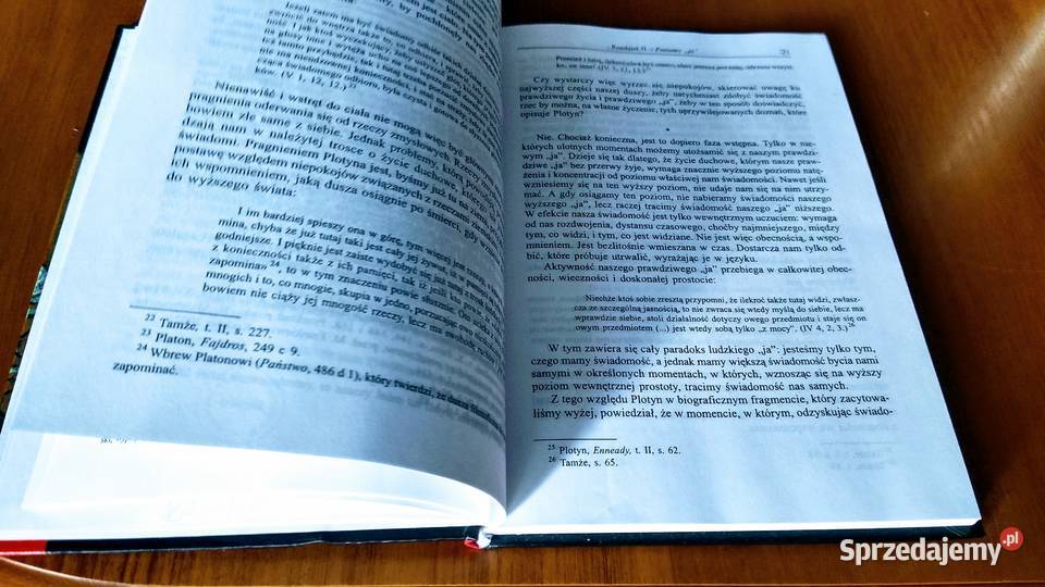 Plotyn albo Prostota spojrzenia Pierre Hadot Gdańsk