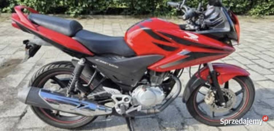 Honda CBF125 Dobrzyń nad Wisłą