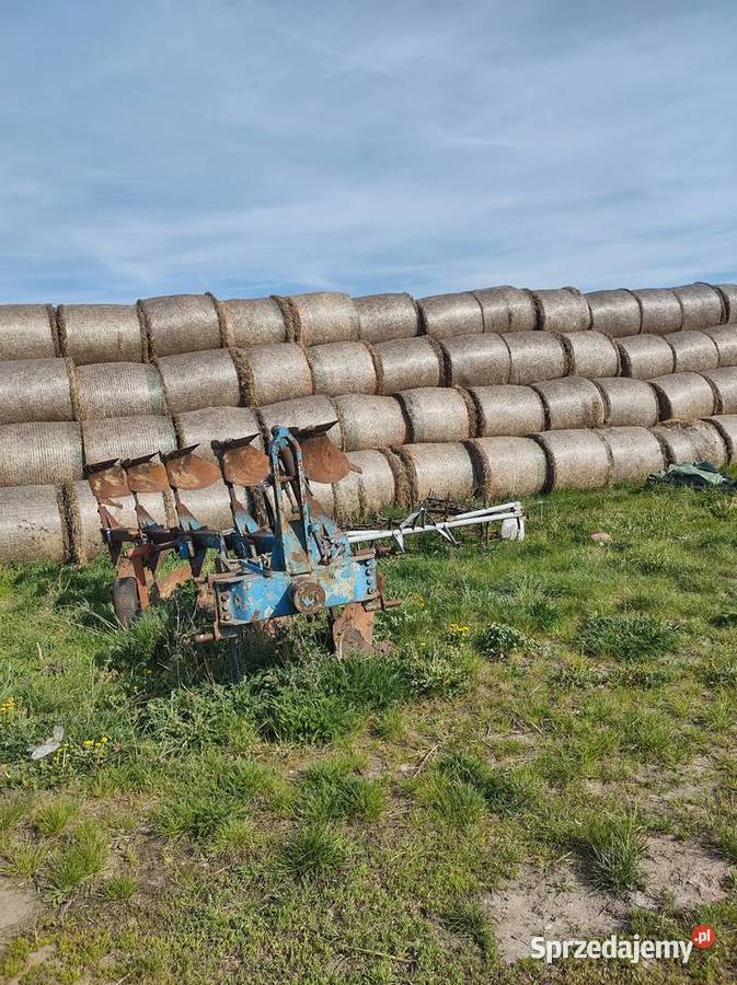 Sprzedam pług 5 skibowy