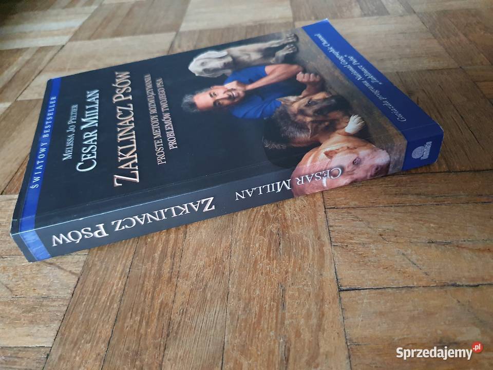 SUPER STAN Cesar Millan WYCHOWAĆ ZOSTAĆ dolnośląskie Wrocław