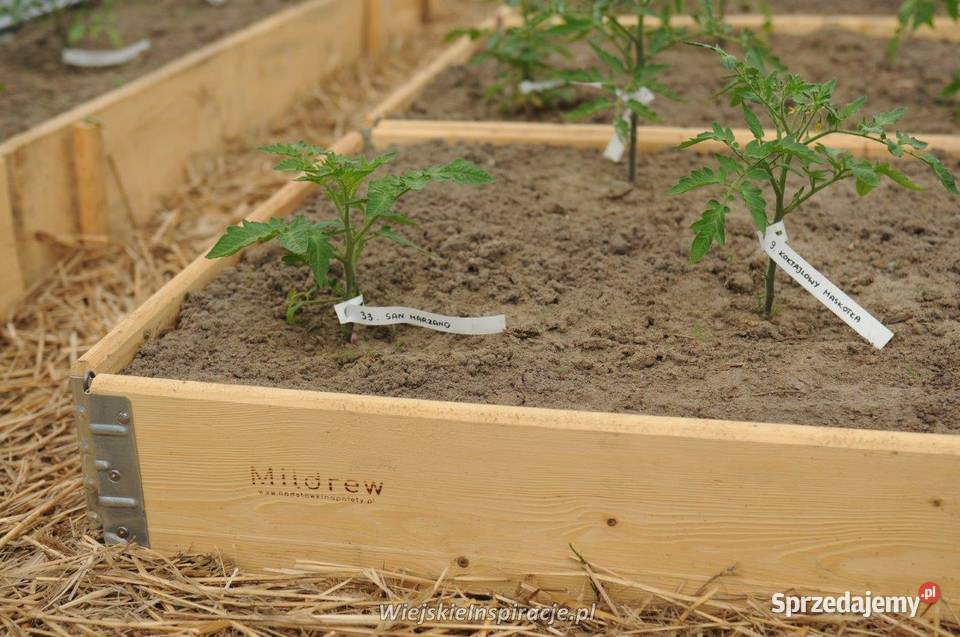 Nadstawki paletowe Konopiska