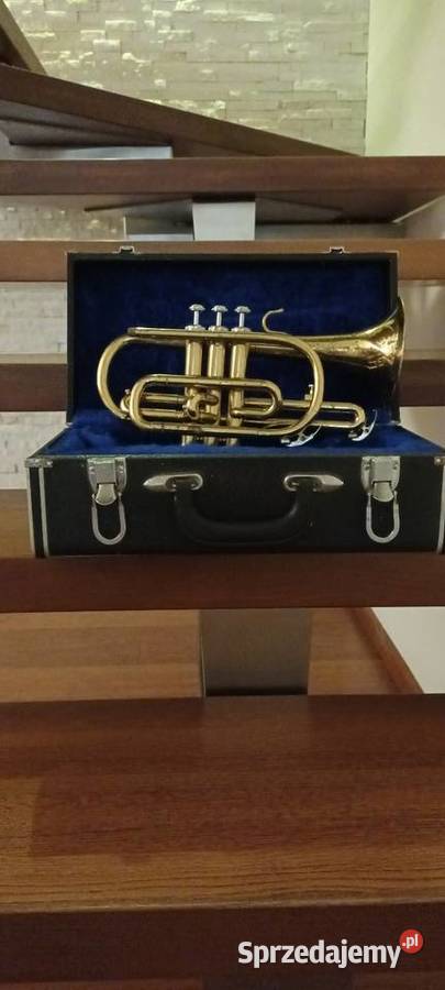 Kornet Instrumenty Piotrków Trybunalski