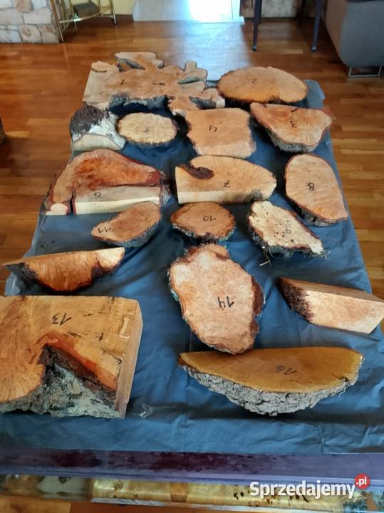 Czeczot topola klon akacja kasztan Pozostałe Nowy Tomyśl