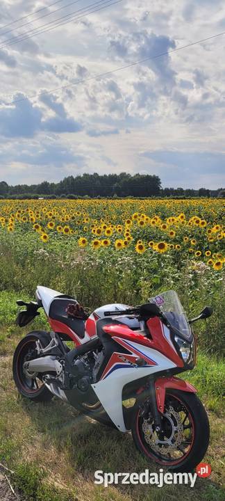 Sprzedam Honda CBR 650f CBR650f Warszawa