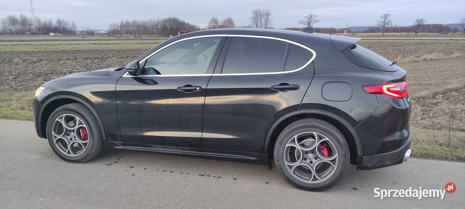 Alfa Romeo Stelvio 210KM podkarpackie Wróblik Szlachecki