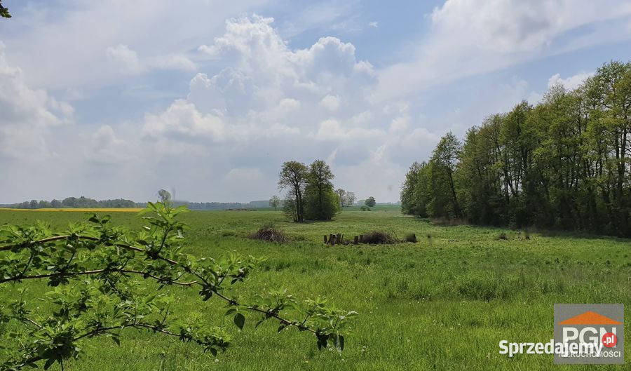 Działka Gryfice 1294 metry sprzedam