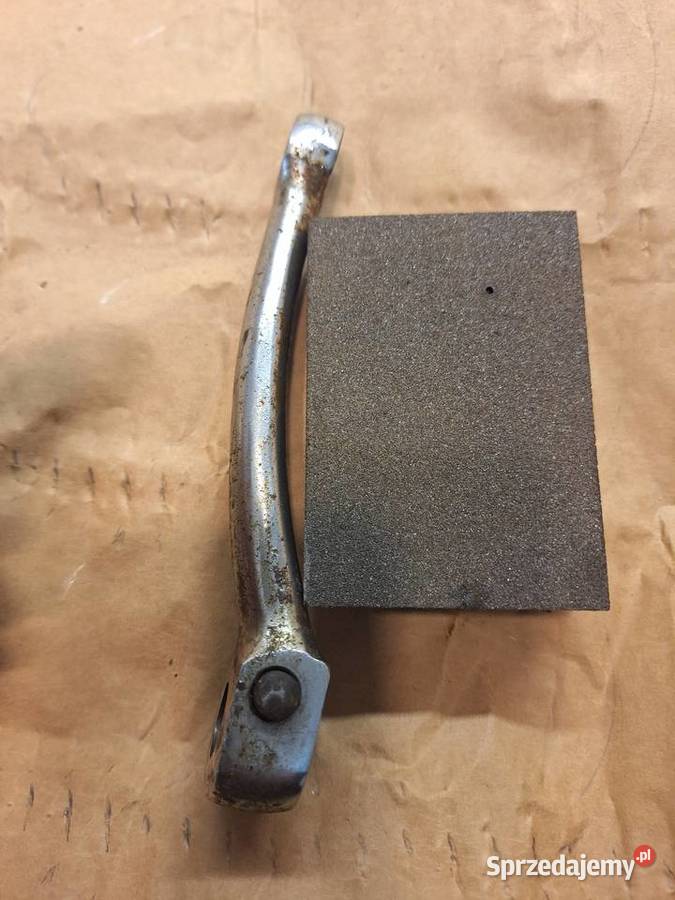 Komar sztywniak korby Krzywcza