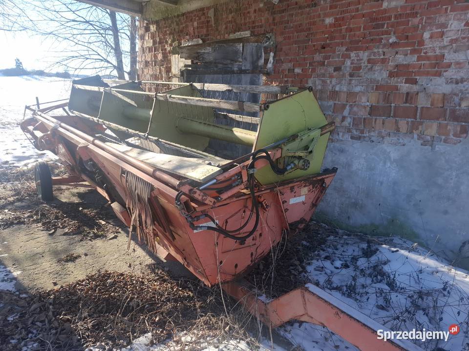 HEDER MF MASSEY DRONNINGBORG Frombork