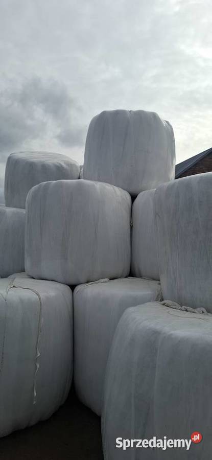 Sianokoszonka Cholewiana Góra