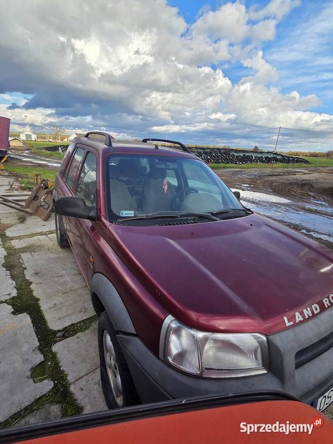 Land rover freelander Borycz