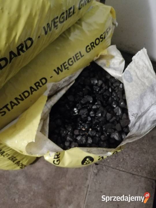 Ekogroszek eko suchy śląskie