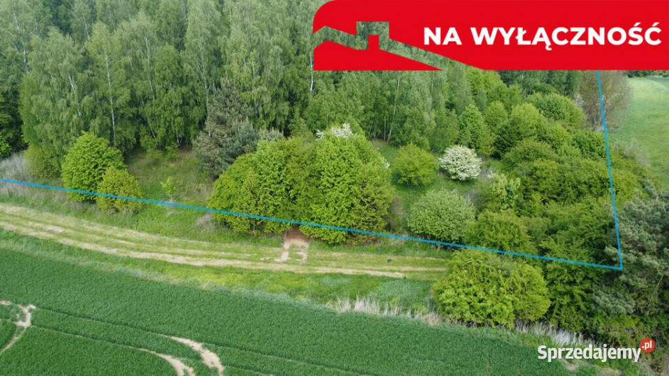 Działka 215 ha z potencjałem koło Nałęczowa rolna Chruszczów-Kolonia