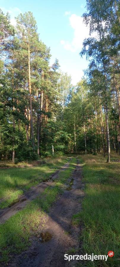 Sprzedam działkę rolną z możliwością zabudowy Ostrów Mazowiecka sprzedam