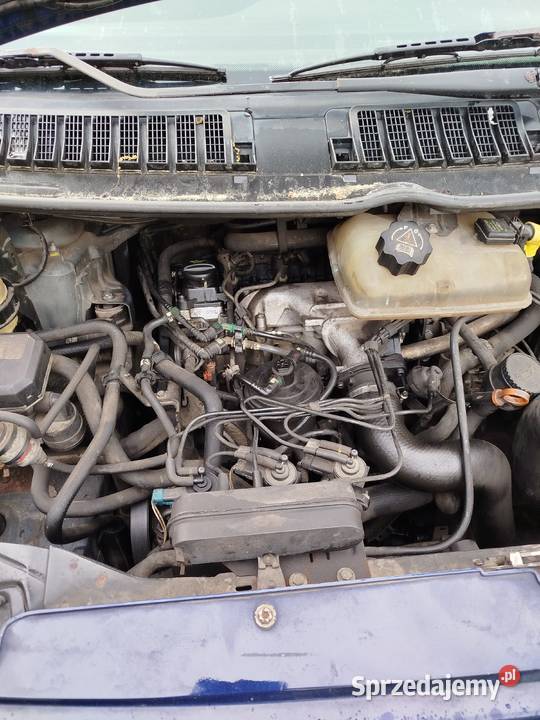 Sprzedam peugeot expert Jędrzejów