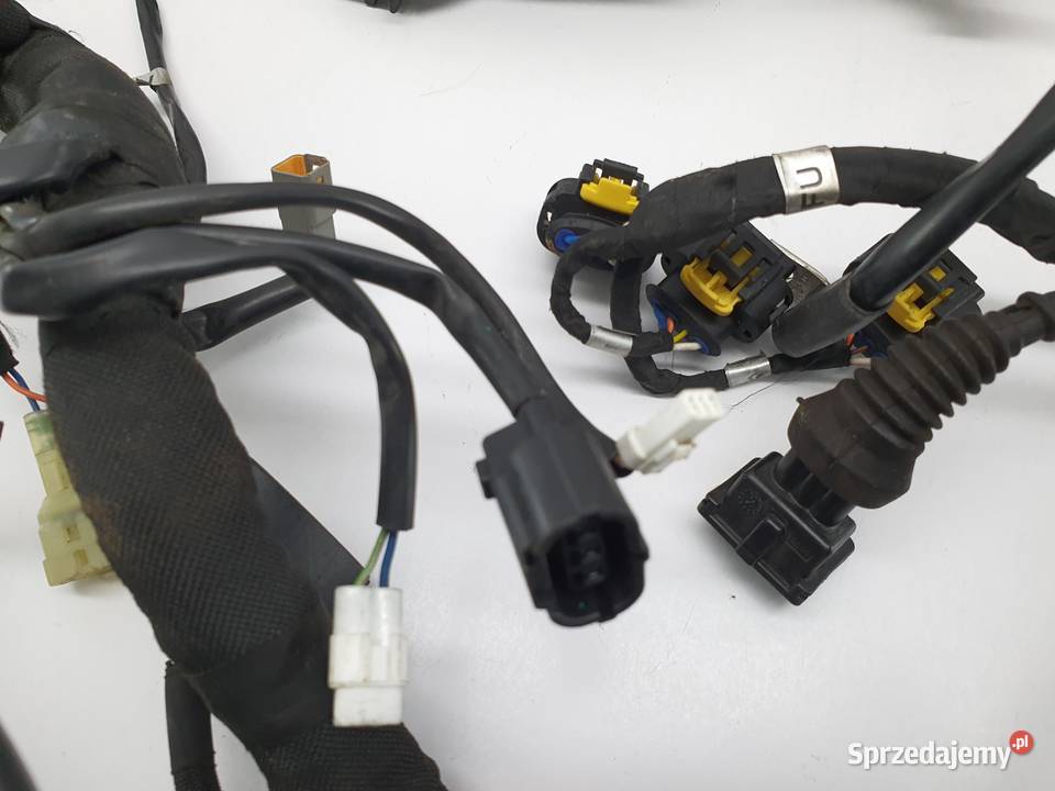 Wiazka Instalacja Mv Agusta Turismo Veloce 800 łódzkie Łódź