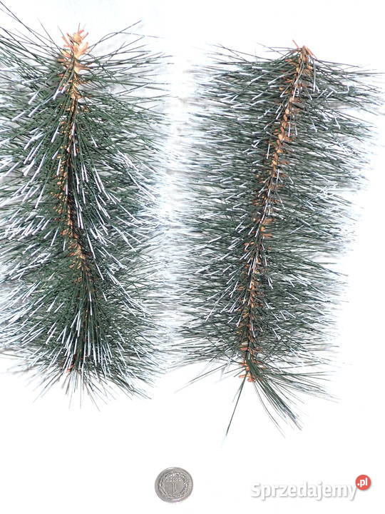 Sztuczna choina baty 20 gałązki na stroiki z śląskie sprzedam