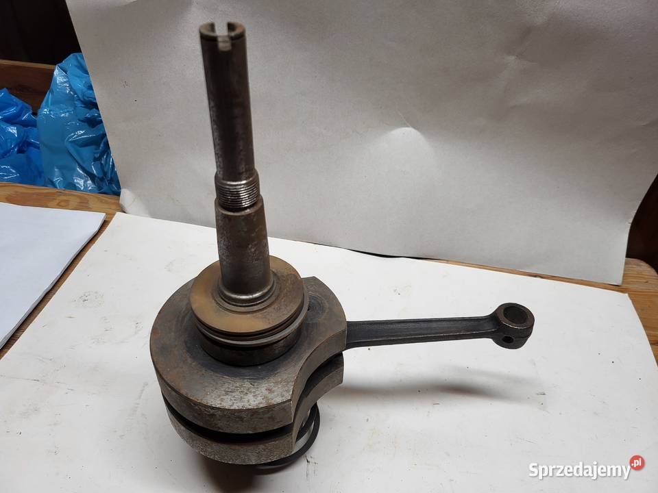 Dzik 2 21 fabr nowy wał korbowy S261C WSM typ Silniki i osprzęt Chodzież