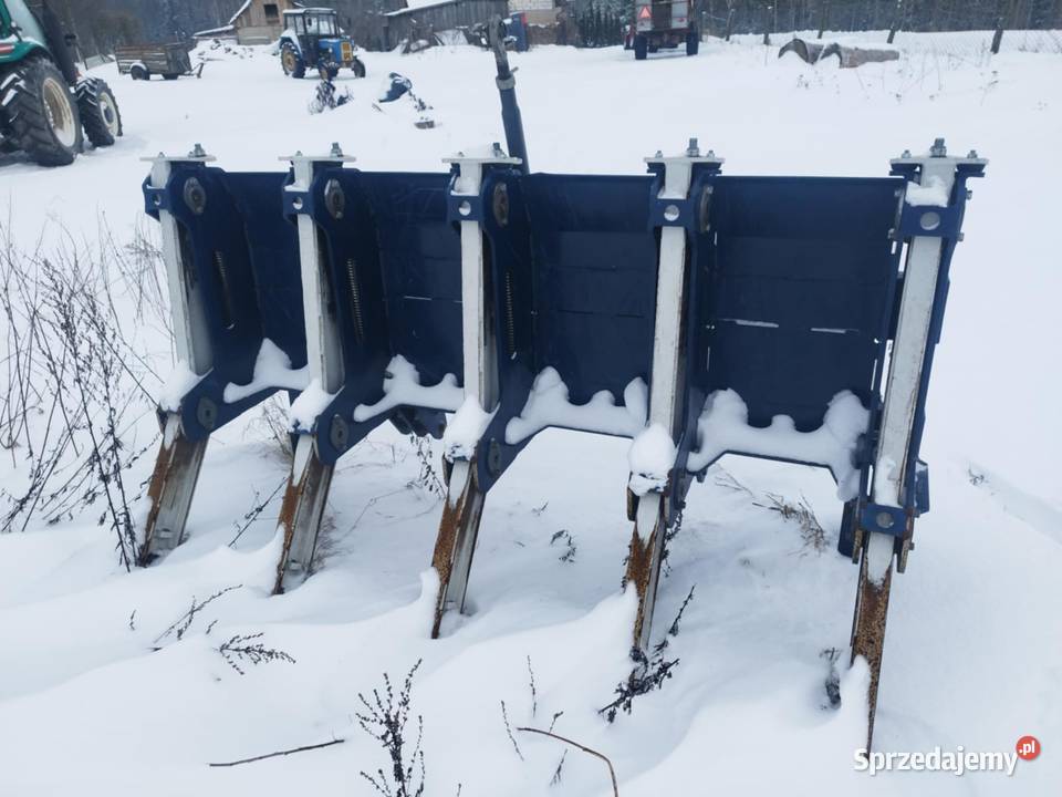 Brona do gałęzi Kosakowo