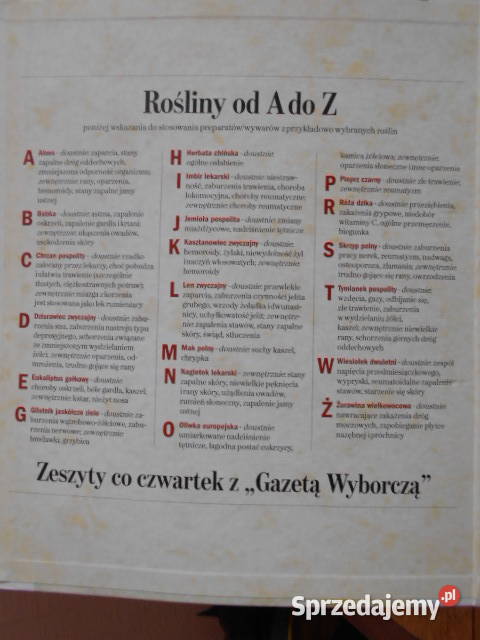 Zioła zdrowia i urody A do Z Gazeta Wyborcza Parczew