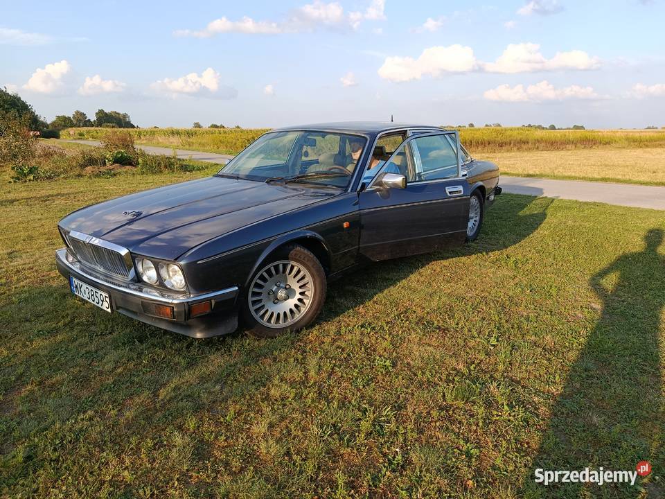 Jaguar xj6 Klasyk Trawniki