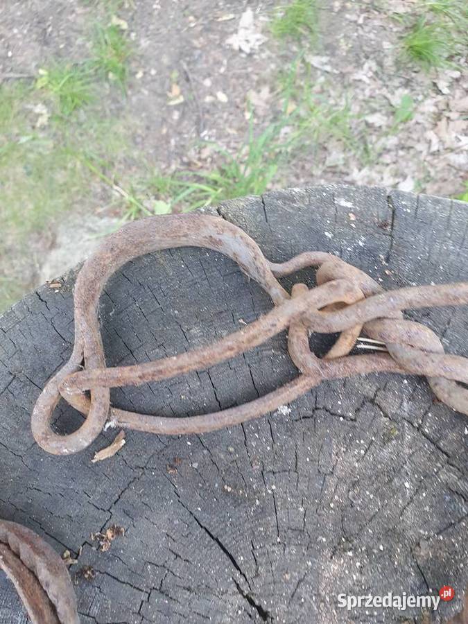 Kajdany okowy pęta do konia przedwojenne antyk Warszawa
