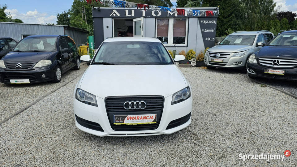 Audi A3 Oszczędny 12 Benzyna Przebieg 198 Świdnica