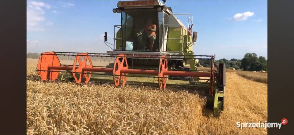 Kombajn claas dominator 108SL Zbożowe lubelskie Tomaszów Lubelski