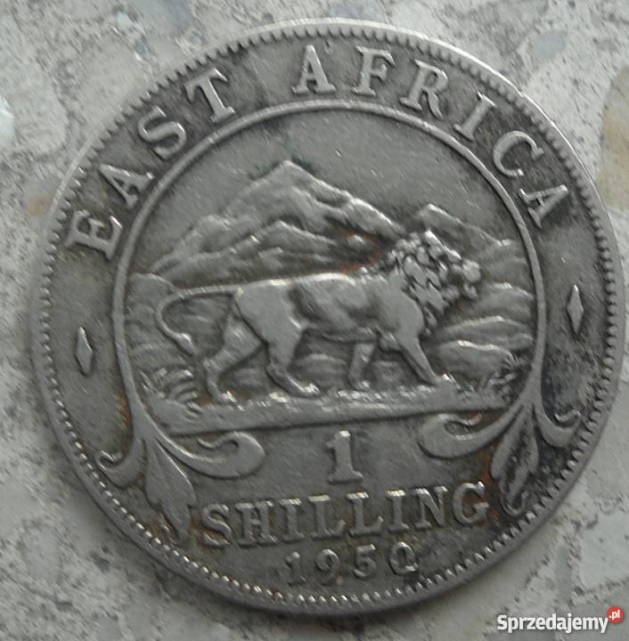 EAST AFRICA1 SCHILLING1950 r GEORGIVS Legionowo