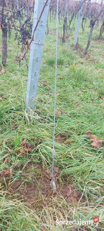 Kotwy Ocynkowane Wkręcane Do Ziemi lubelskie Zamość