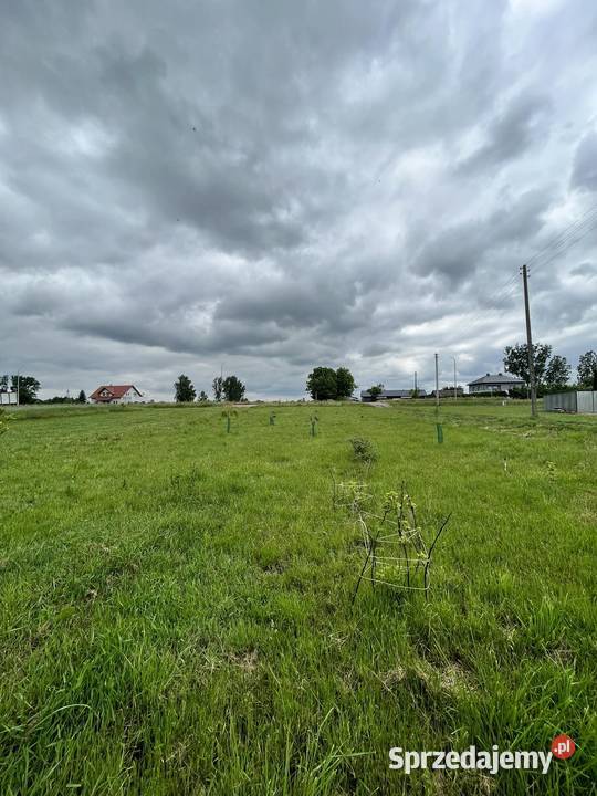 Dom murowany na działce 5010m2 z budynkami