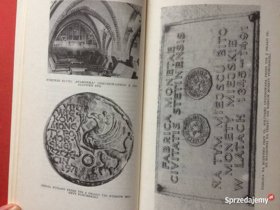 3181 Miasta I Regionu Szczecin