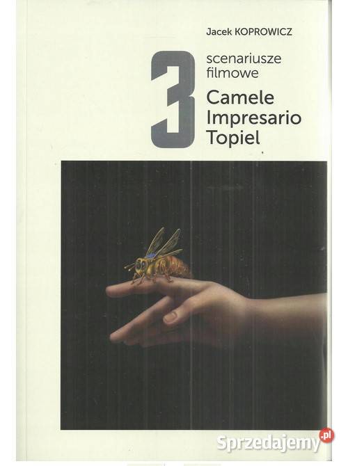 3 scenariusze filmowe Łódź