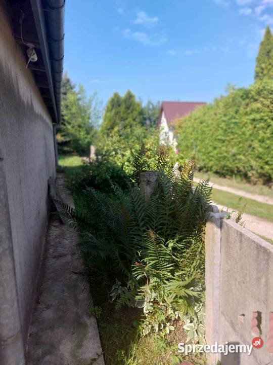 Dwie działki w 1ROD Sprzedaż