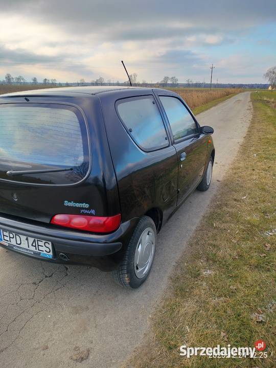 fiat seicento 900 benzyna gaz Zalesie