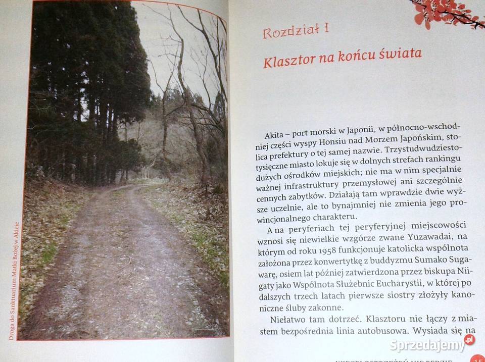 Akita Więcej ostrzeżeń nie będzie Jerzy Wolak miękka Pozostałe Chełm