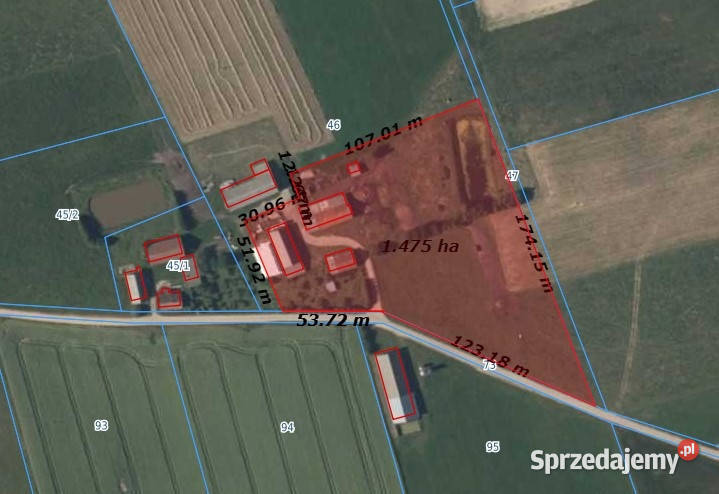 Sprzedam siedlisko 15 ha na Mazurach warmińsko-mazurskie Gawliki Wielkie sprzedam